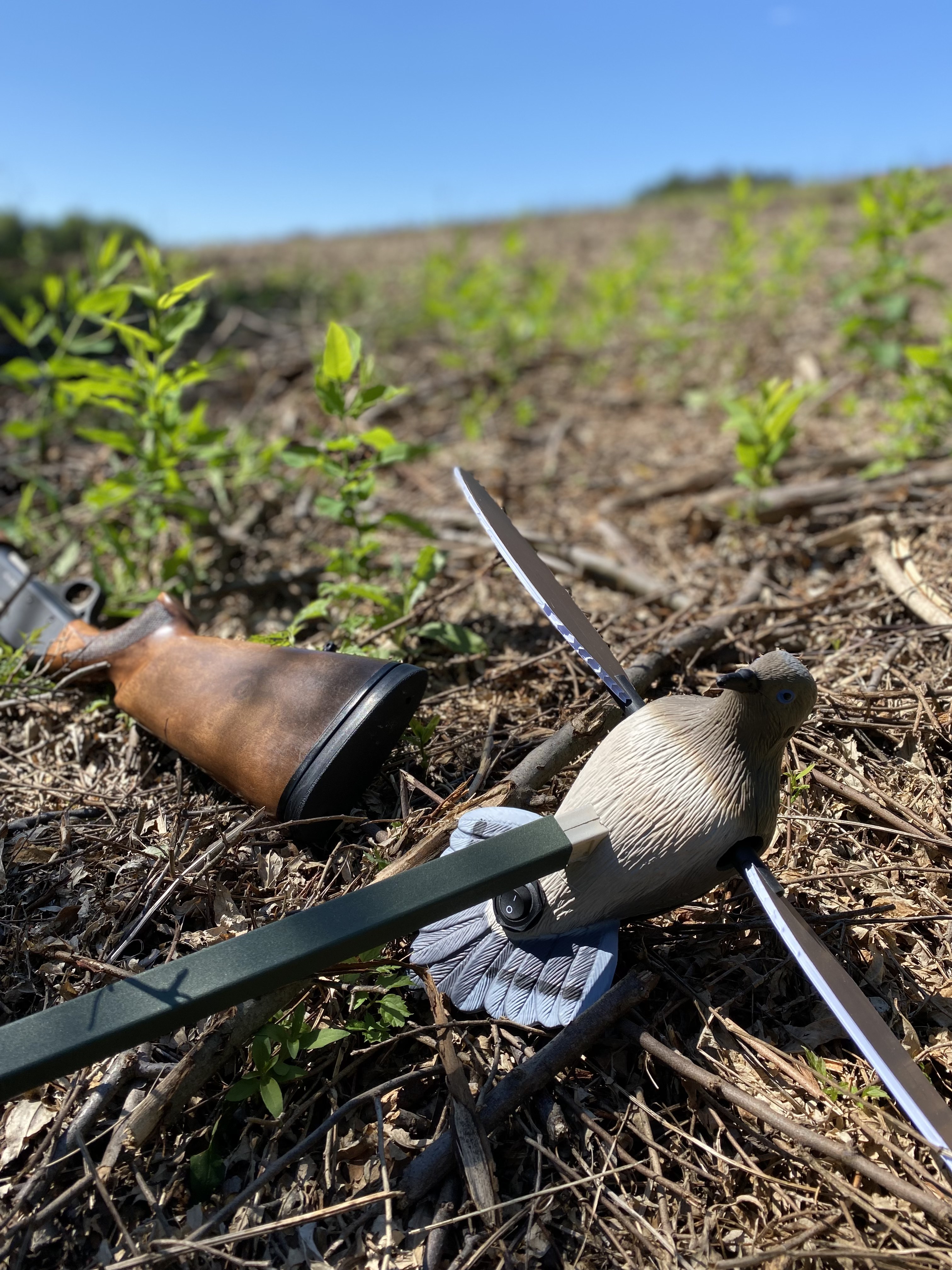 A dove decoy and a shotgun which is used to hunt doves outdoors