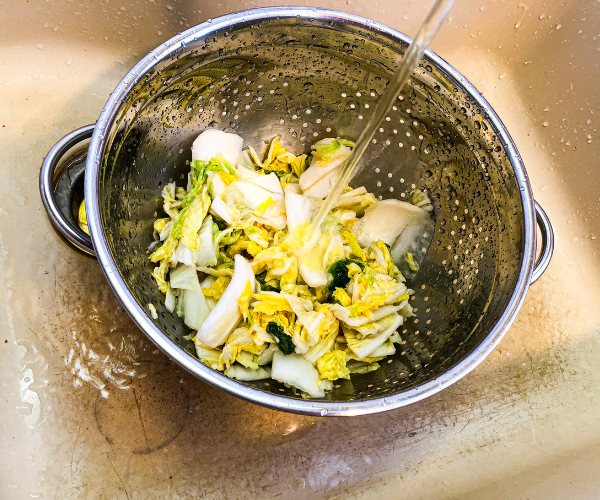 A picture of the cabbage used to make quick and easy kimchi