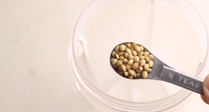 A teaspoon of coriander seeds