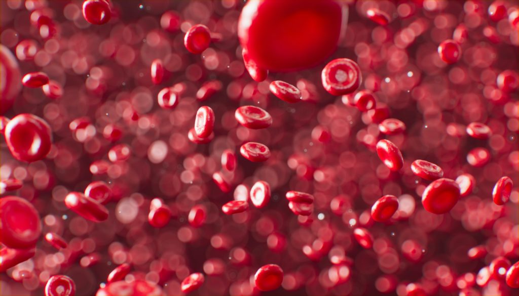 A picture of red blood cells.