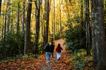 3 women hiking in the woods near Wildflower Farms
