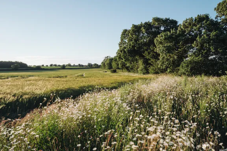 A meadow in Gardiner NY