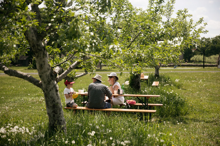 A family on a picnic bench at the Westwind Orchard