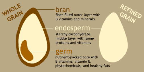 An infographic that displays the difference between whole grains and refined grains.