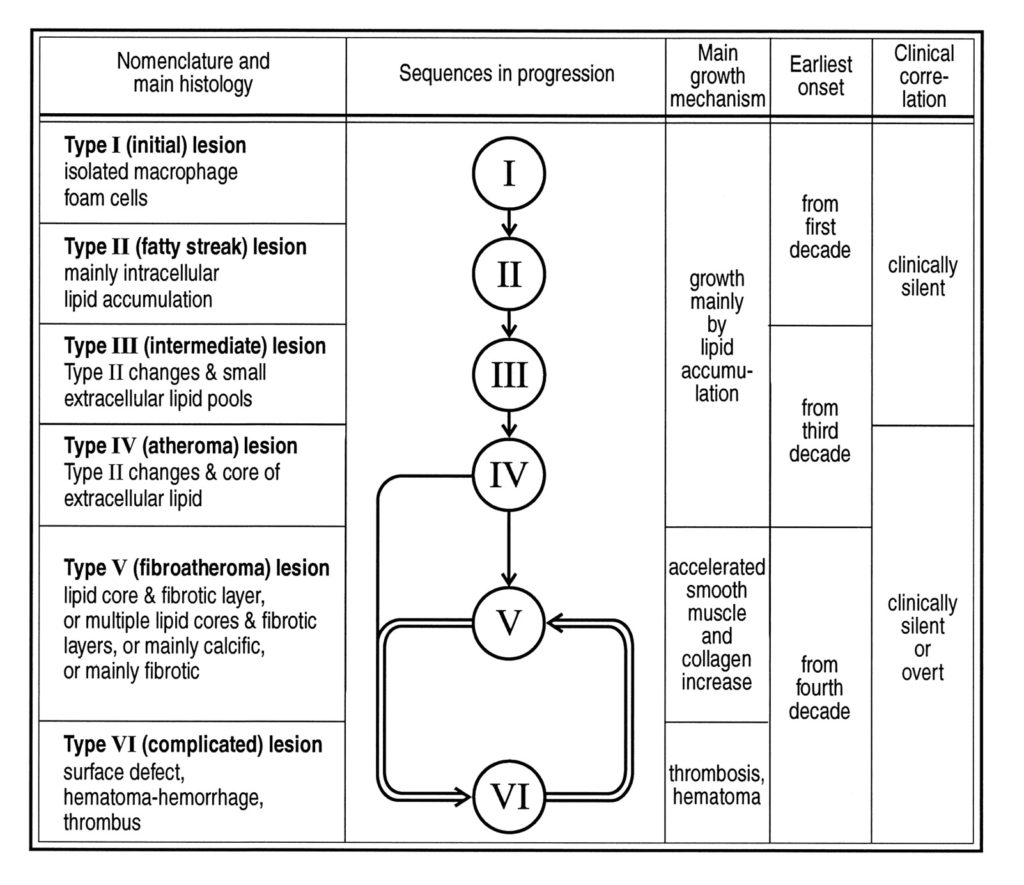 Lesion classification chart and sequences of progression. 