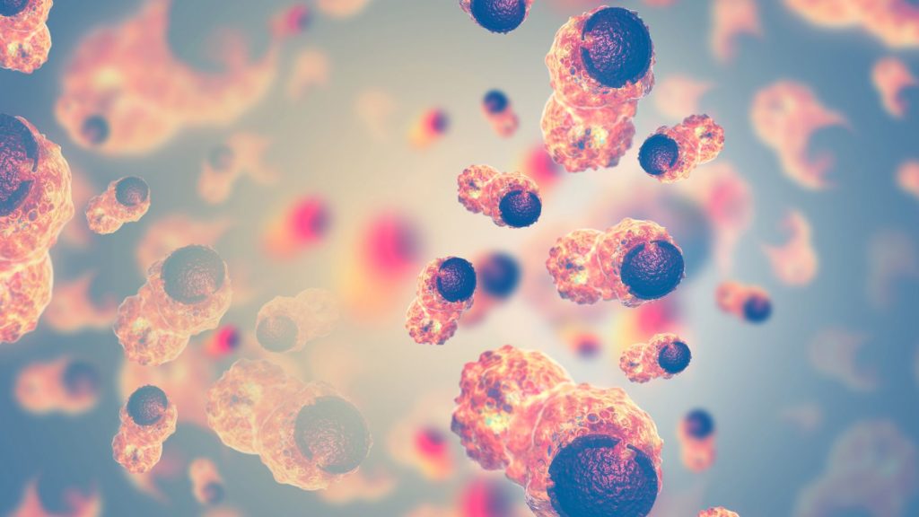 Cancer cells on a cellular level 