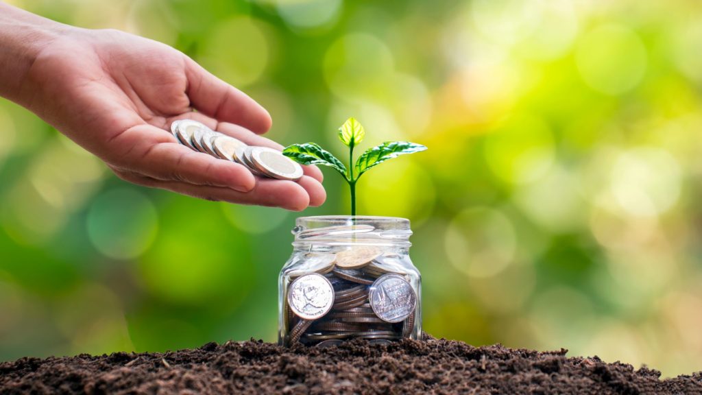 A hand putting change into a jar with a plant growing from the money.